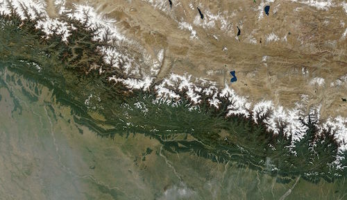 Himalayan Forest Cover